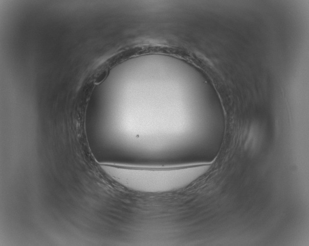 X0000068261303200604210904