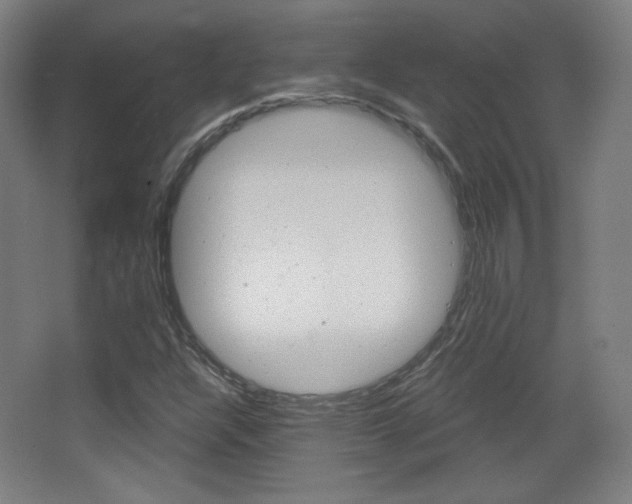 X0000068261304200604210904