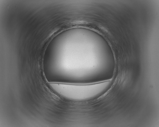X0000068261305200604210904