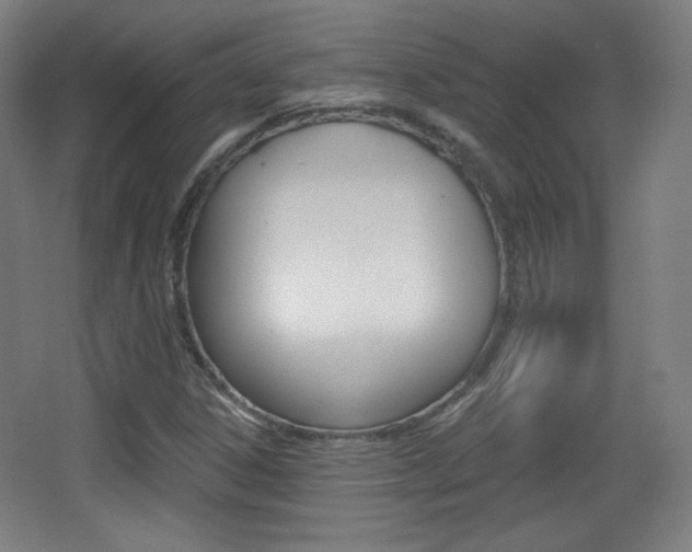 X0000068261306200604210904