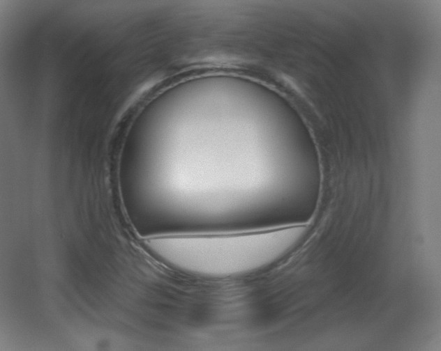 X0000068261307200604210904