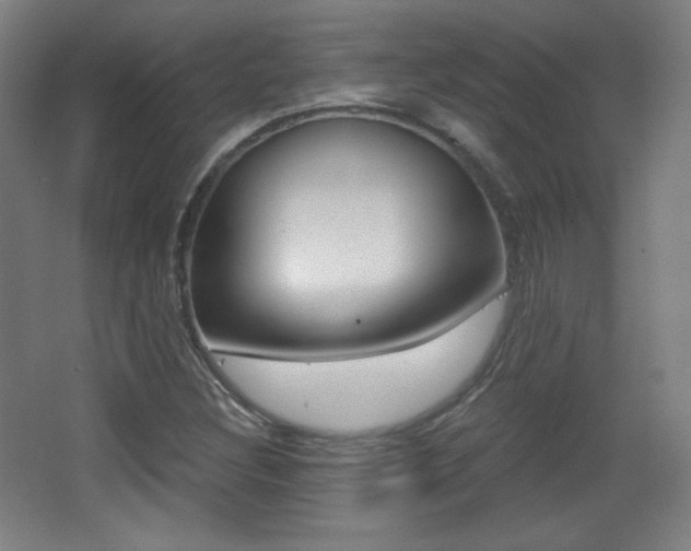 X0000068261308200604210904