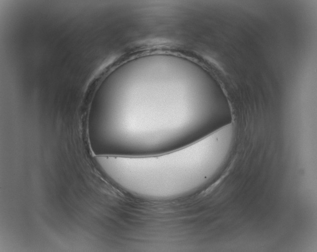 X0000068261309200604210904