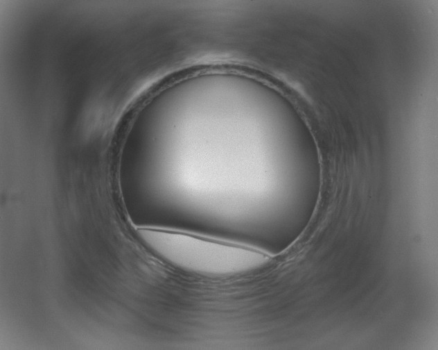 X0000068261311200604210904