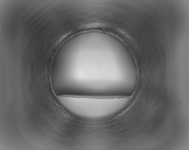 X0000068261313200604210904