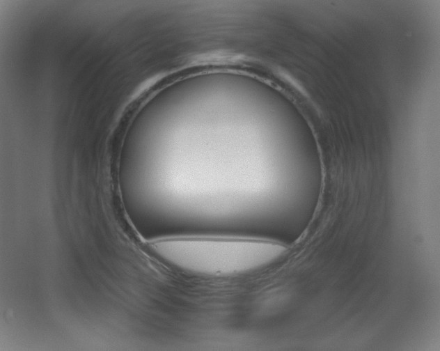 X0000068261315200604210904