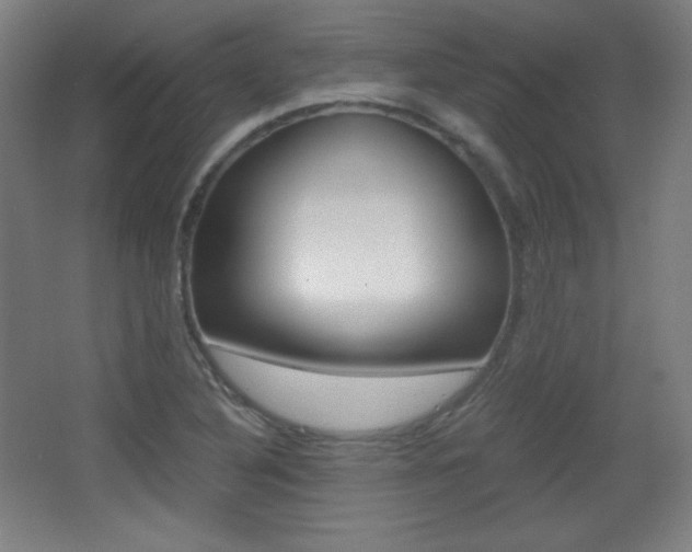 X0000068261316200604210904