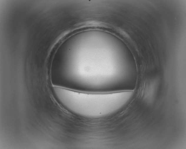 X0000068261318200604210904