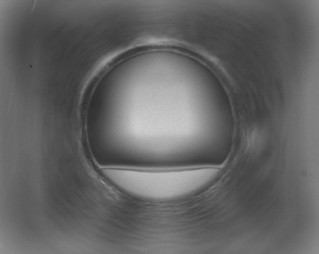 X0000068261319200604210904