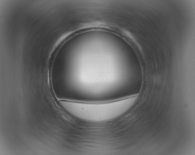 X0000068261320200604210904