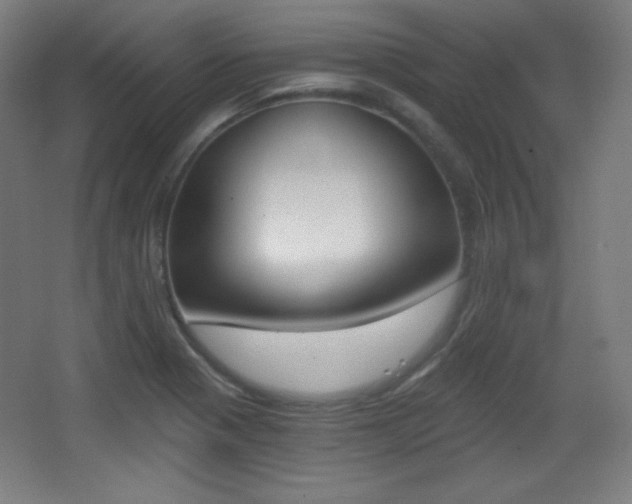 X0000068261321200604210904