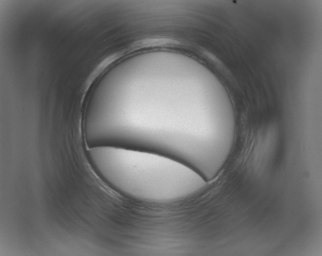 X0000068261322200604210904