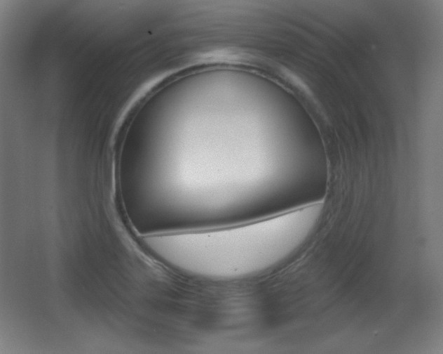 X0000068261323200604210904