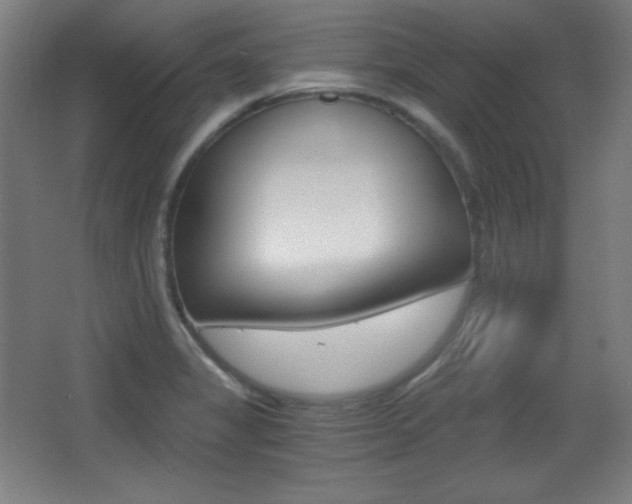 X0000068261325200604210904