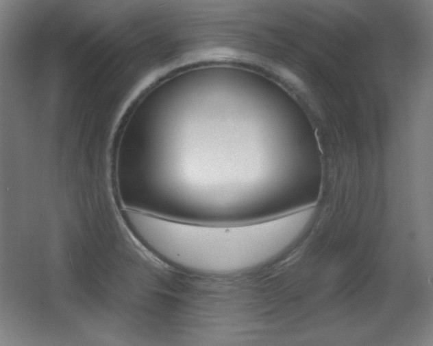 X0000068261326200604210904