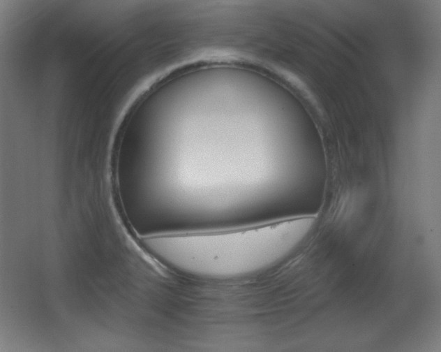 X0000068261327200604210904