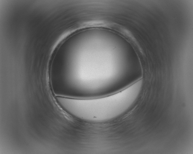 X0000068261328200604210904