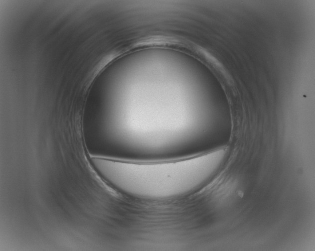 X0000068261329200604210904