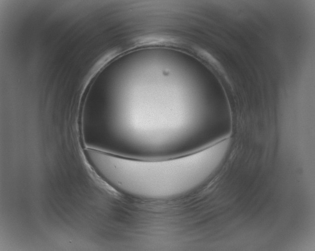 X0000068261330200604210904