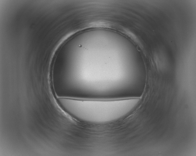 X0000068261331200604210904