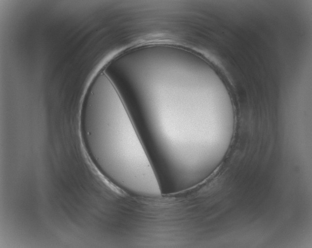 X0000068261333200604210904