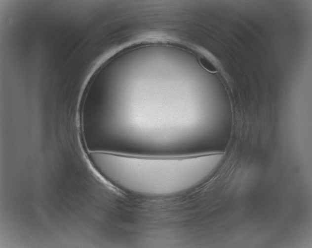 X0000068261335200604210904