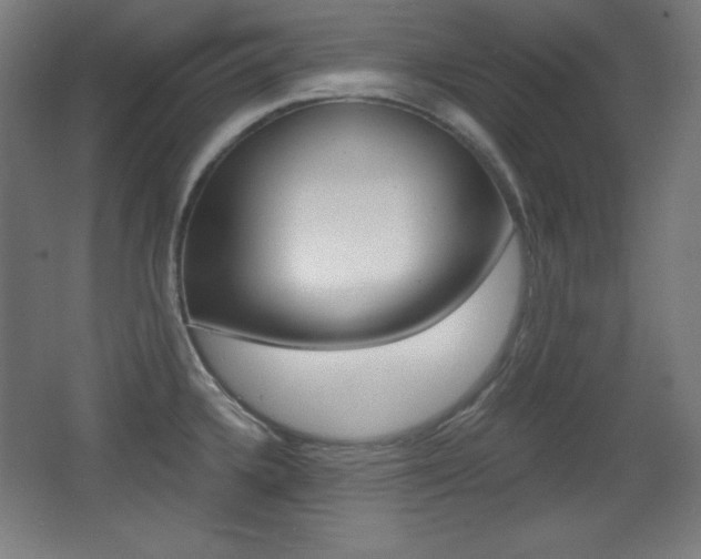 X0000068261336200604210904