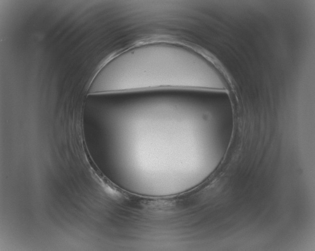 X0000068261337200604210904