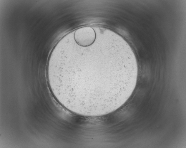 X0000068261338200604210904