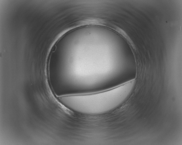 X0000068261339200604210904
