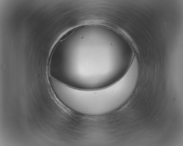 X0000068261340200604210904
