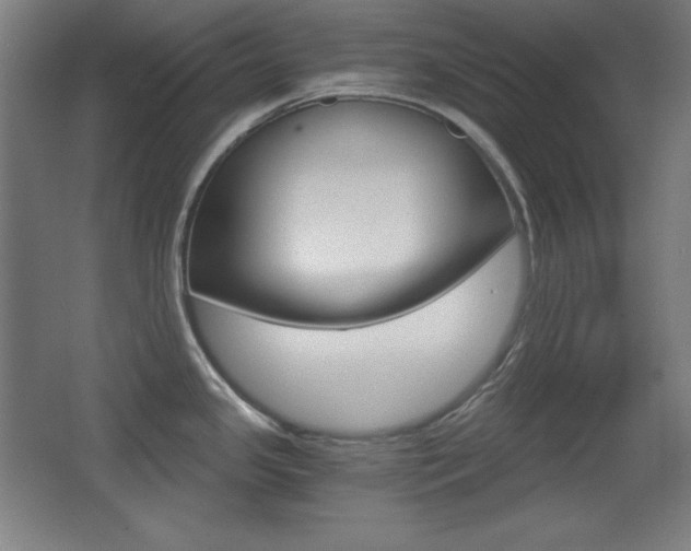 X0000068261341200604210904