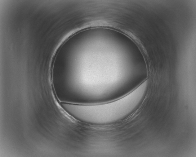 X0000068261342200604210904