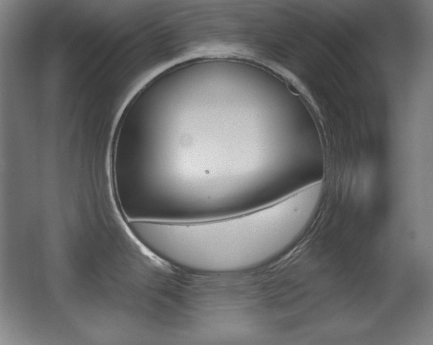 X0000068261343200604210904