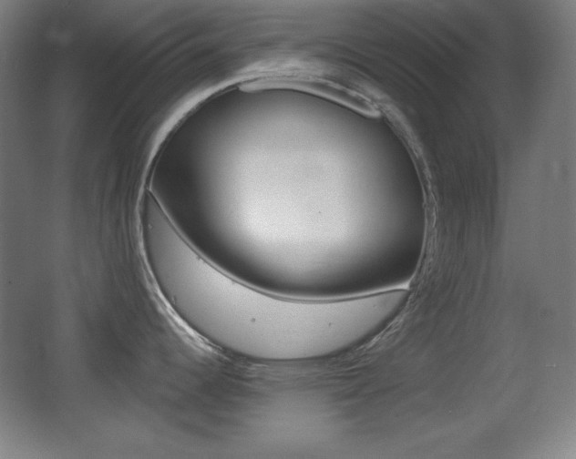 X0000068261344200604210904