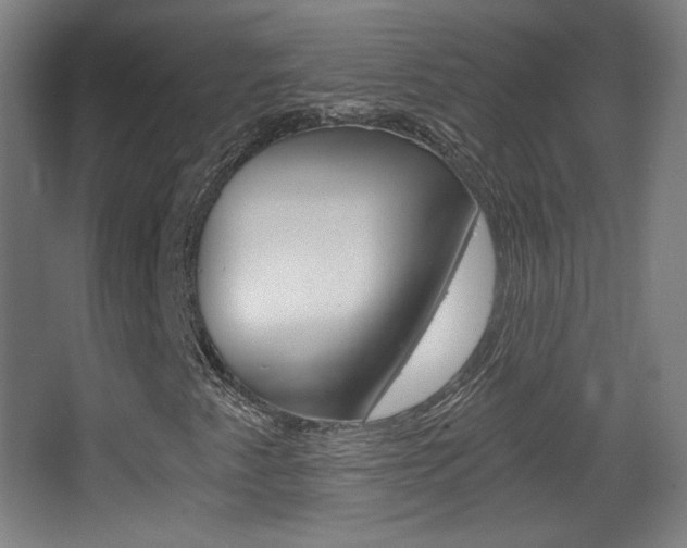 X0000068261345200604210904