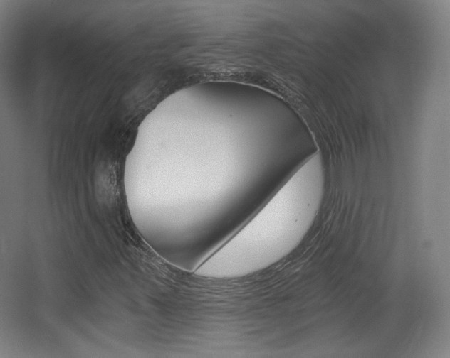 X0000068261347200604210904