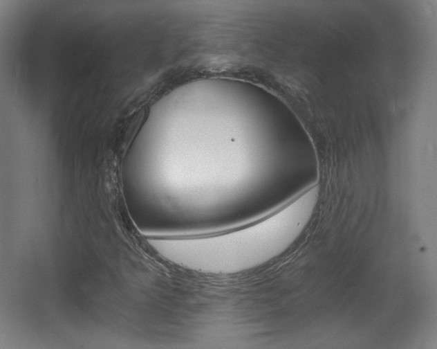 X0000068261349200604210904