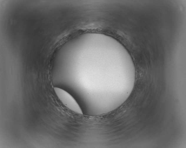 X0000068261350200604210904