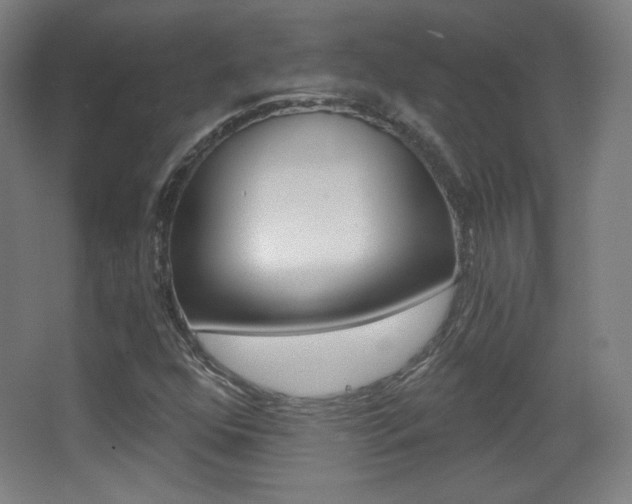 X0000068261352200604210904