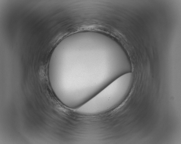 X0000068261353200604210903