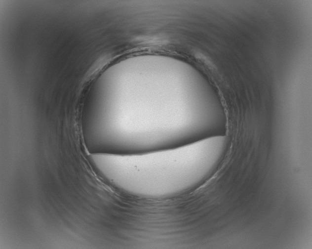 X0000068261354200604210903