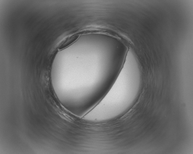 X0000068261355200604210903