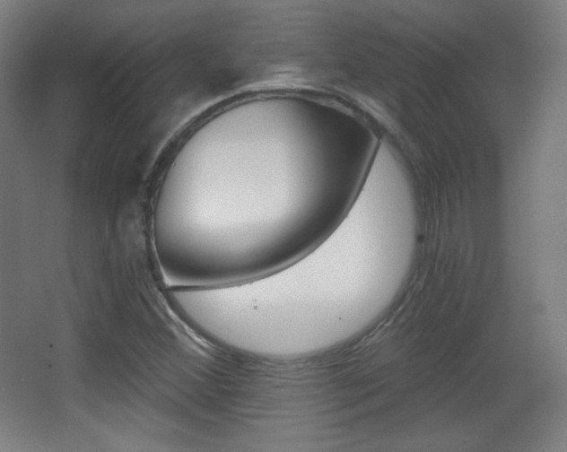 X0000068261356200604210903