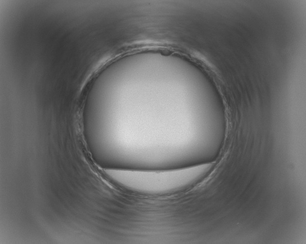 X0000068261357200604210903
