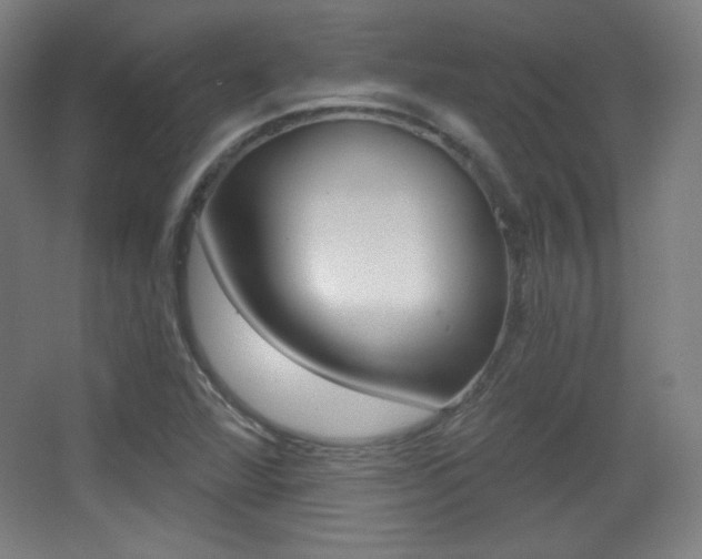 X0000068261360200604210903