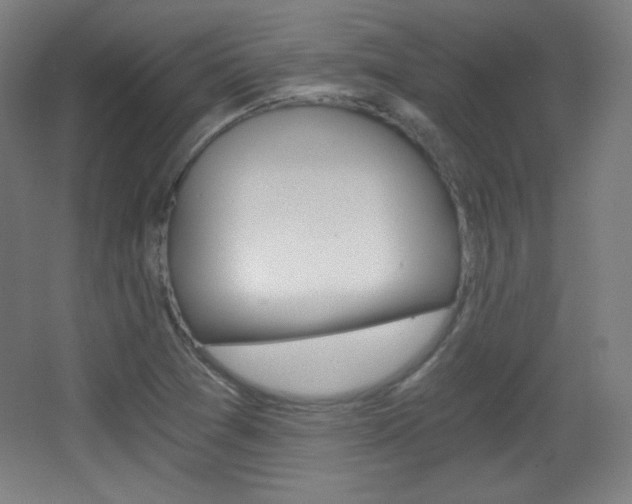 X0000068261361200604210903