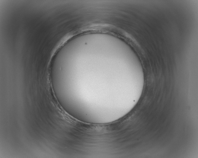 X0000068261362200604210903