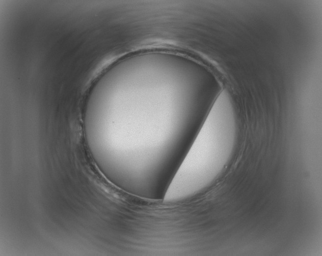 X0000068261363200604210903