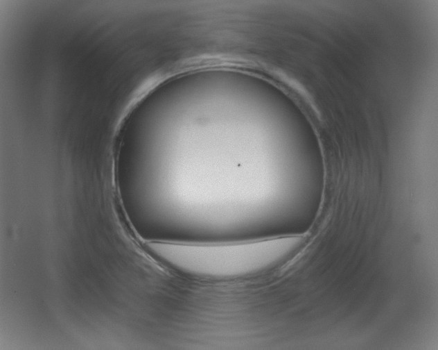 X0000068261365200604210903
